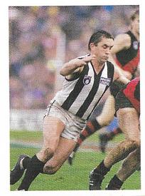 1991 Select AFL Stickers #68 Tony Shaw Front